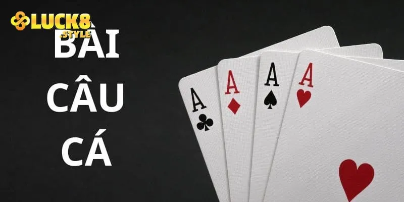 Cách chơi bài câu cá đơn giản cho người mới bắt đầu