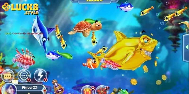 Tại sao nên chọn bắn cá tiểu tiên cá trực tiếp là điểm đến cá cược