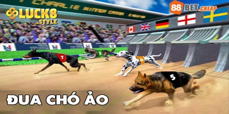 Giới thiệu về cá cược đua chó tại nhà cái