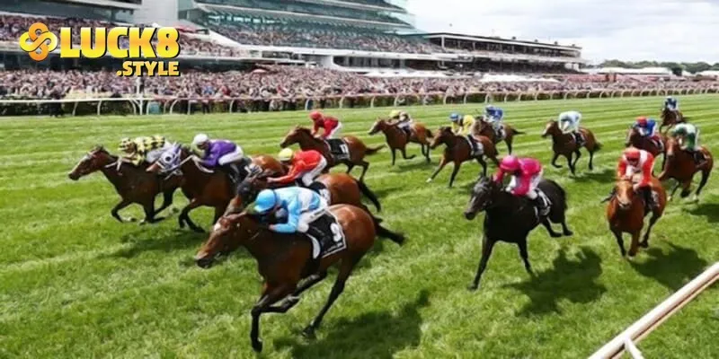 Trải nghiệm cá cược đua ngựa đẳng cấp quốc tế