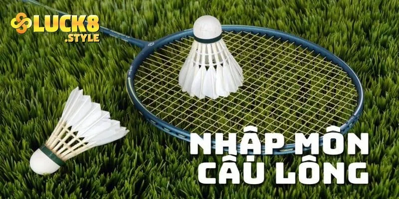 Giới thiệu về cá độ cầu lông và thể lệ cược