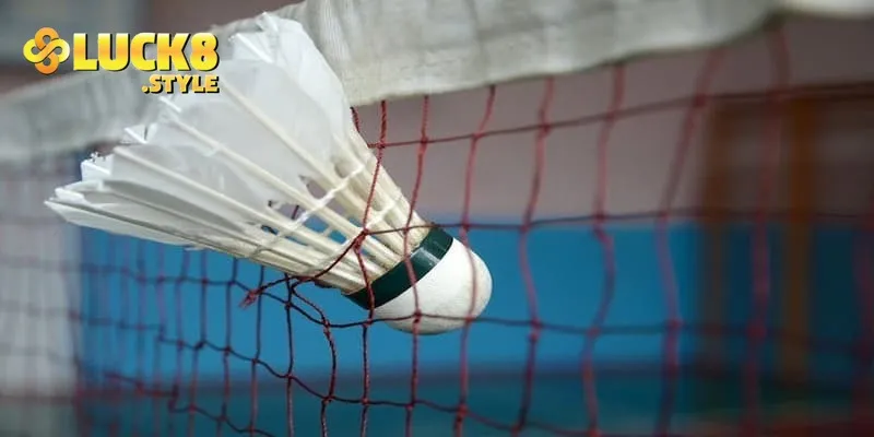 Lợi ích khi tham gia giải trí cá độ cầu lông