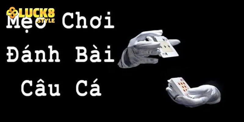 Khi chiến thuật quyết định cách chơi bài câu cá