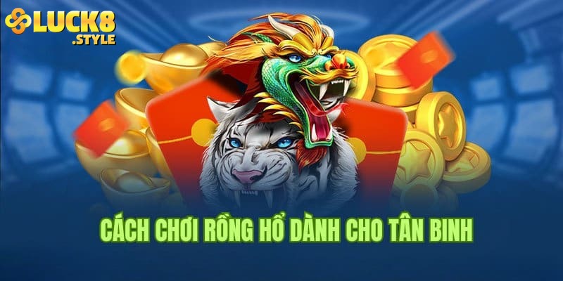 Mẹo chơi Rồng Hổ chiến thuật giúp bạn chiến thắng dễ dàng