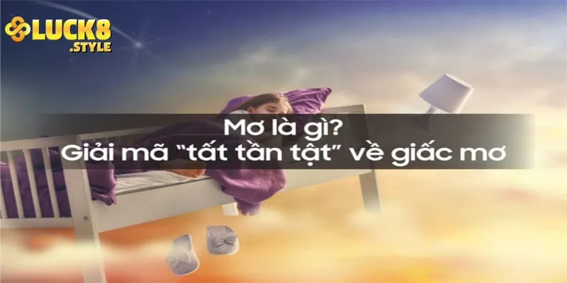 Ngủ mơ thấy gạch là điềm báo gì cho tương lai? cho người chơi lô đề