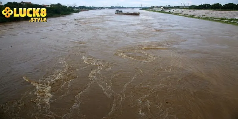 Cảnh báo về nguy cơ ngủ mơ thấy lũ lụt là điềm gì cho tương lai